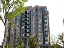 小區(qū)白蟻防治工程案例