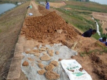 三水白蟻防治工程：水庫堤壩防治白蟻工程