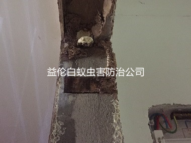 越秀毛坯房裝修預(yù)防白蟻