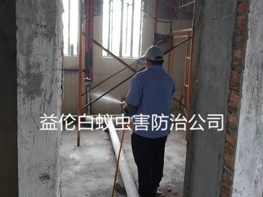 荔灣區(qū)房屋裝修預防白蟻
