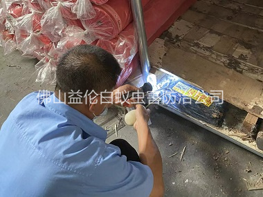 高明倉(cāng)庫(kù)白蟻防治