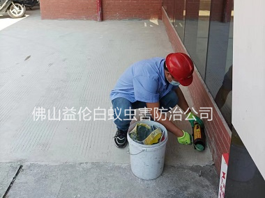 三水區(qū)工廠施藥滅鼠