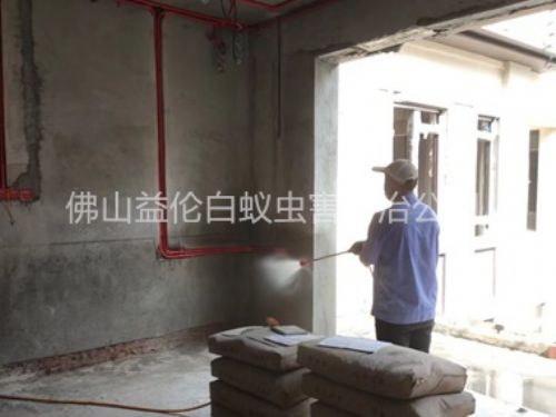 三水裝修預(yù)防白蟻工程