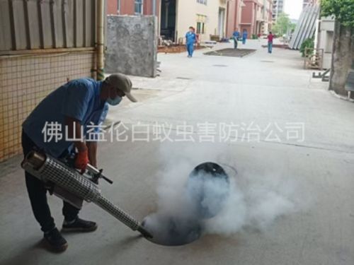 南海街道消滅蚊蟲工程