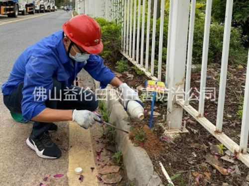 順德紅火蟻防治工程