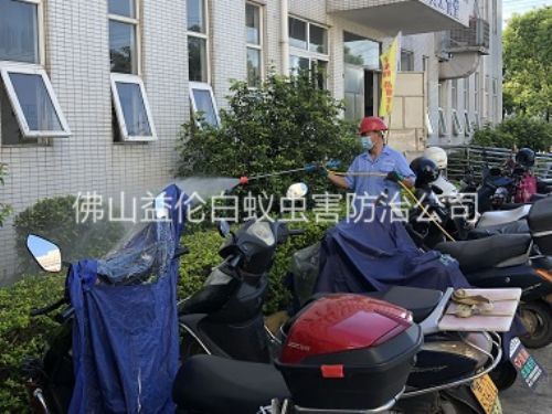 三水廠區(qū)殺蟲滅蚊工程