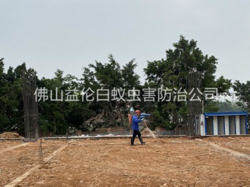 順德地基新建預防白蟻工程