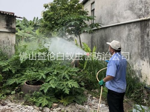 佛山社區(qū)消滅蚊子工程